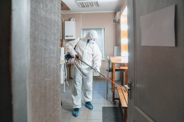 Trusted Choteau, MT Mold Removal Experts