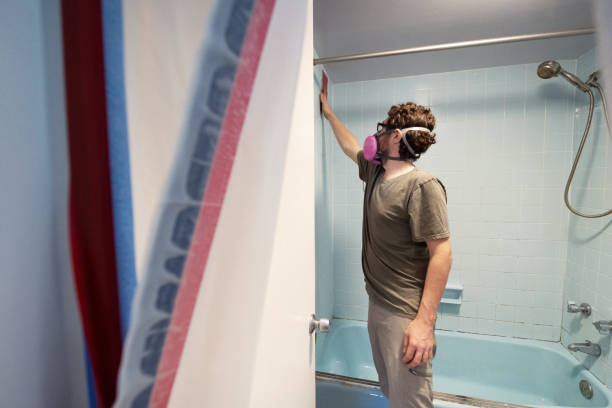 Best Attic Mold Removal  in Choteau, MT