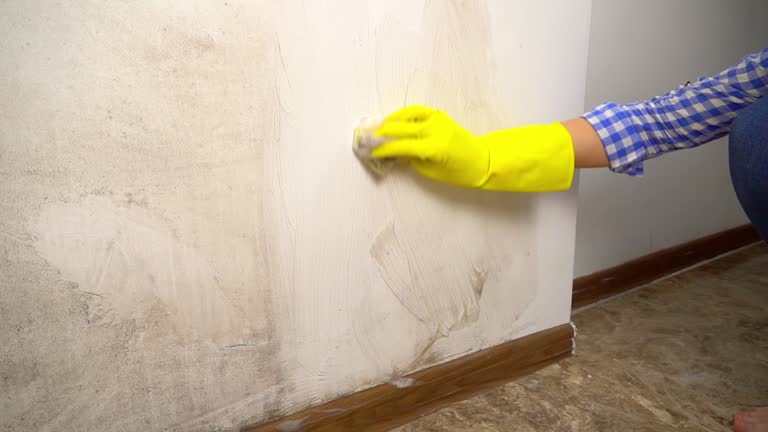 Best Mold Prevention Services  in Choteau, MT