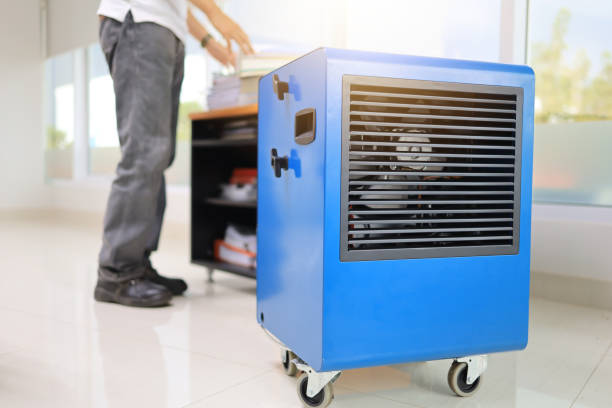 Best HVAC Mold Inspection and Cleaning  in Choteau, MT