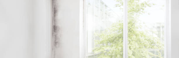 Best Indoor Air Quality Assessment  in Choteau, MT